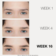 Load image into Gallery viewer, Lash Food Eyebrow Enhancing Serum, 3 Month Supply